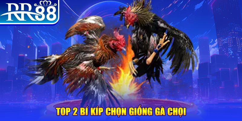pk88vn bắn cá h5