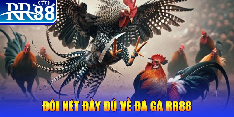 pk88vn gà chọi hoà phong