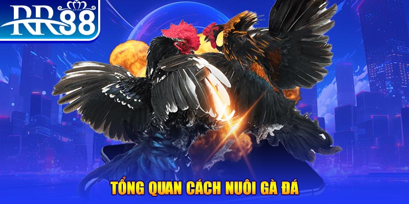 pk88vn xổ số thứ ba