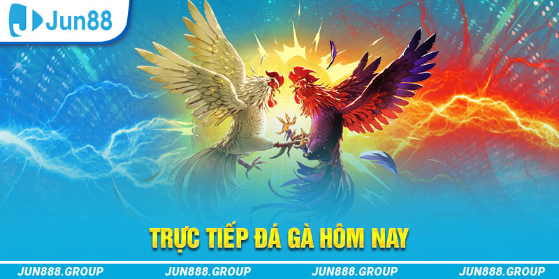 pk88vn trực tiếp đá gà thomo