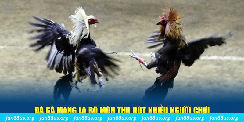 pk88vn xổ số long an