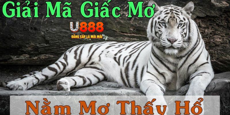 pk88vn Bài Poker Joker