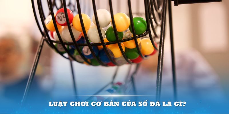 pk88vn Đĩa màu ace
