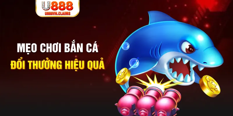 pk88vn xổ số thứ năm hàng tuần