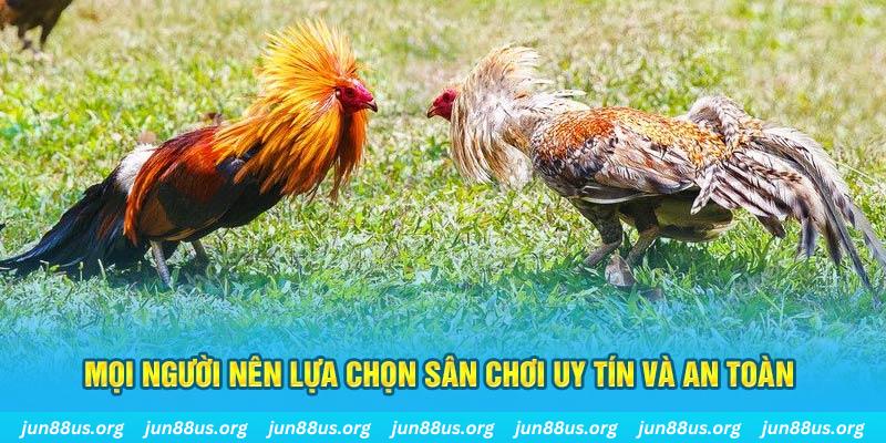 pk88vn Tài Xỉu
