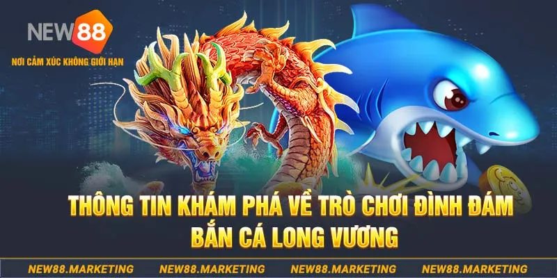 pk88vn choi ga c1