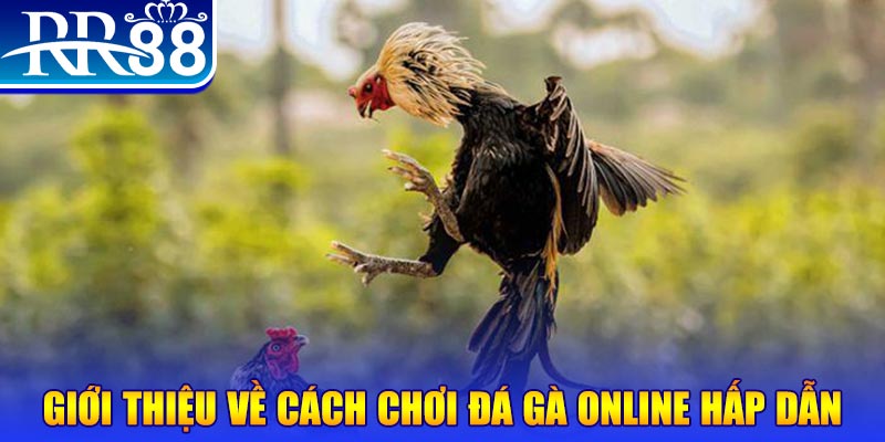 pk88vn what is a video slot