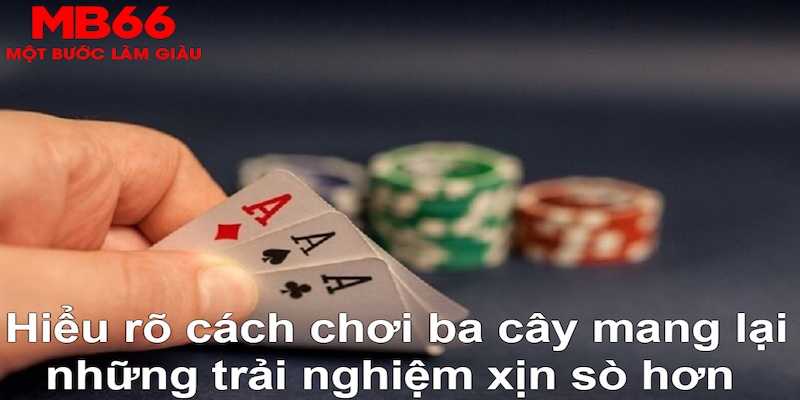 pk88vn DB Trực Tuyến