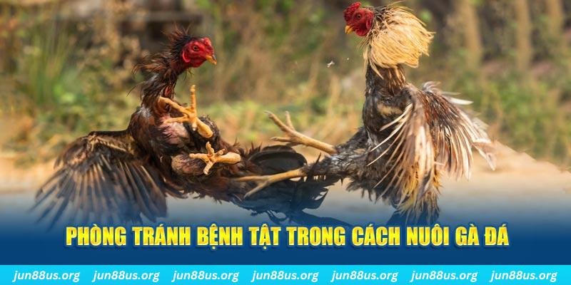 pk88vn natural” trong baccarat nghĩa là gì？