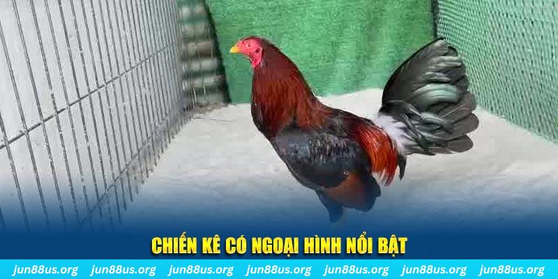 pk88vn nhạc slot là gì